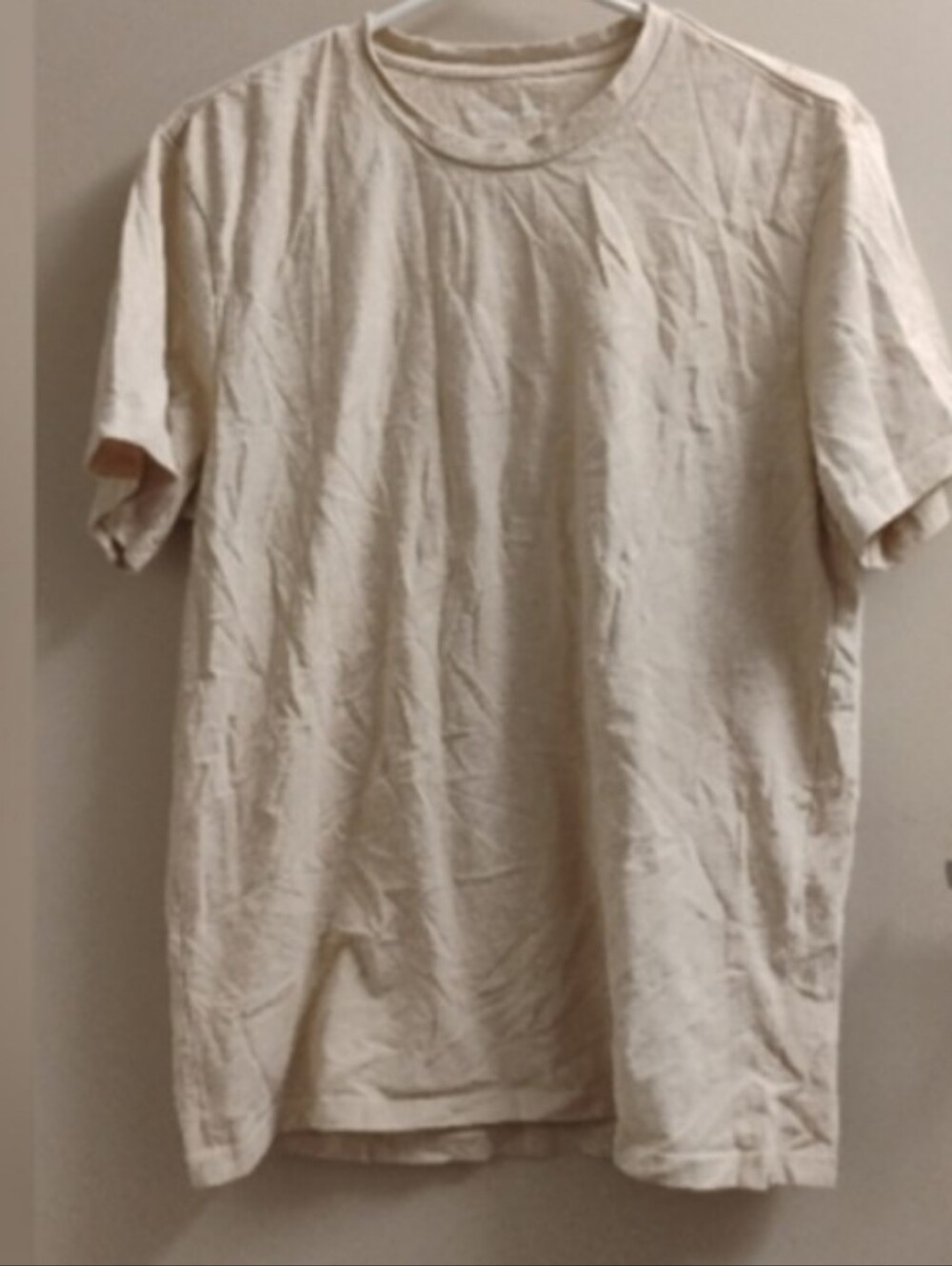 Everlane Mens Crewneck Cotton Tee Shirt Sz L